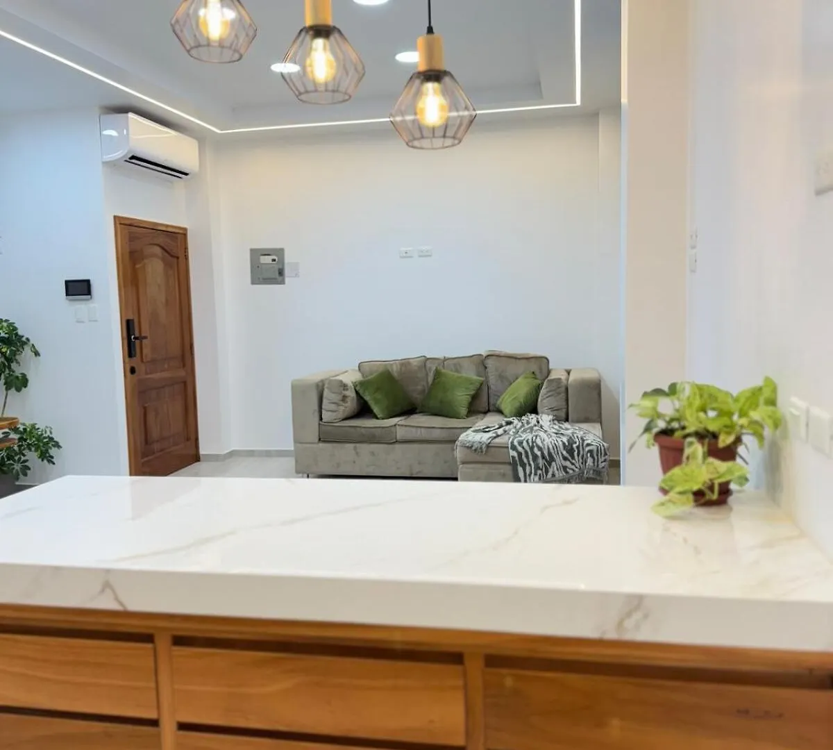 Modern Stay In Galapagos contacts